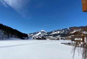 7832a27a-3f17-46c7-80c6-bf2a4456159b.jpg